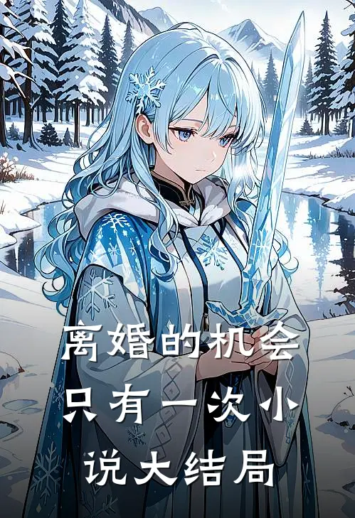 离婚的机会只有一次小说大结局