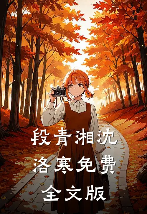 段青湘沈洛寒免费全文版