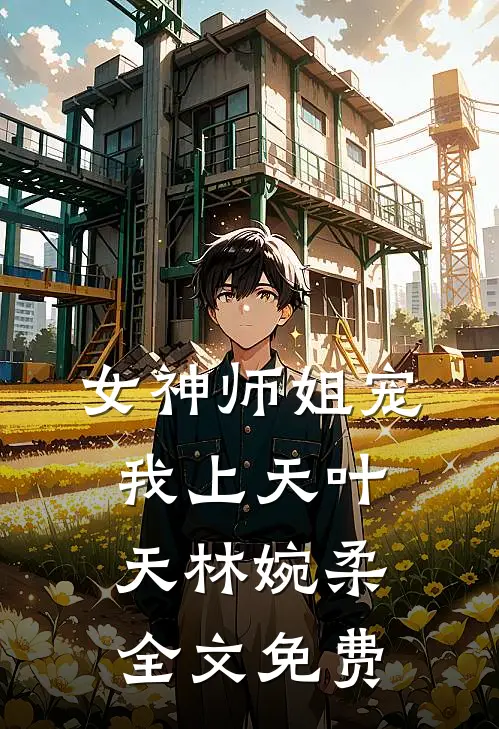 女神师姐宠我上天叶天林婉柔全文免费