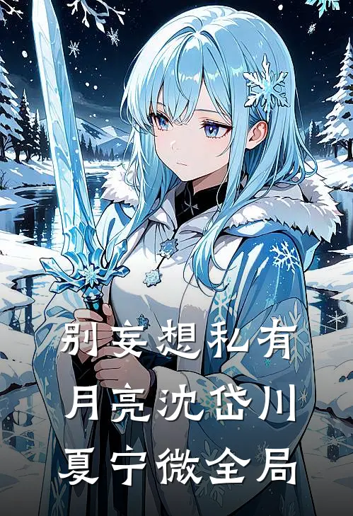 别妄想私有月亮沈岱川夏宁微全局