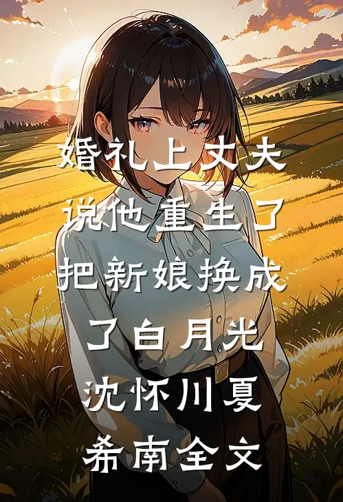 婚礼上丈夫说他重生了，把新娘换成了白月光沈怀川夏希南全文