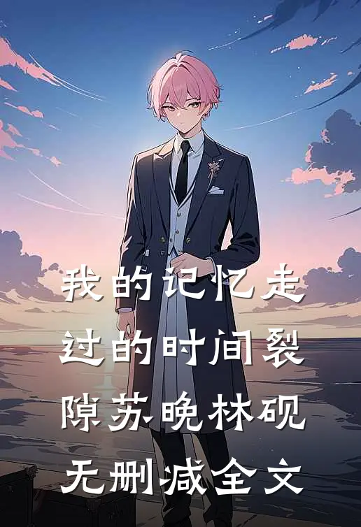 我的记忆走过的时间裂隙苏晚林砚无删减全文