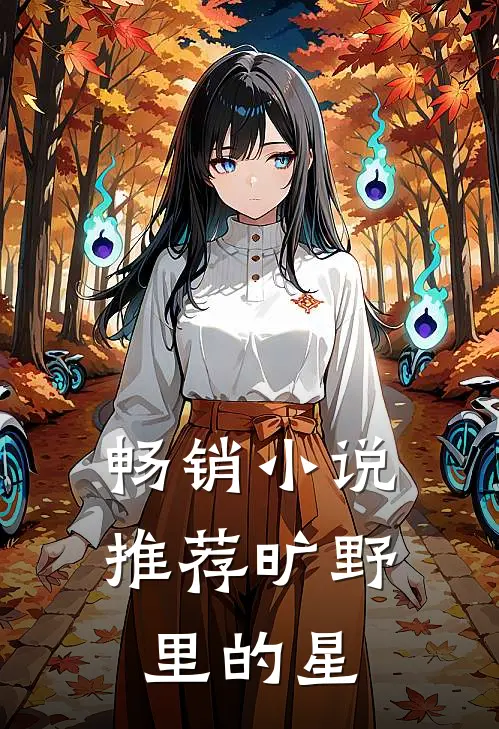 畅销小说推荐旷野里的星