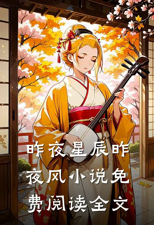 昨夜星辰昨夜风小说免费阅读全文