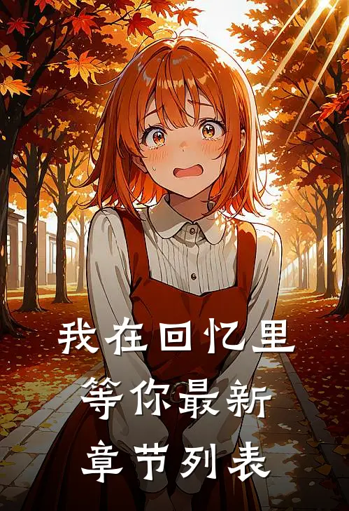 我在回忆里等你最新章节列表
