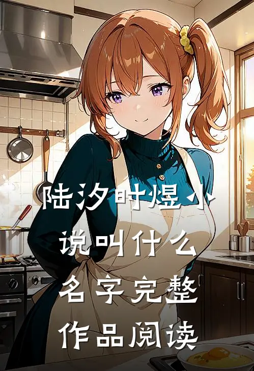 陆汐时煜小说叫什么名字完整作品阅读
