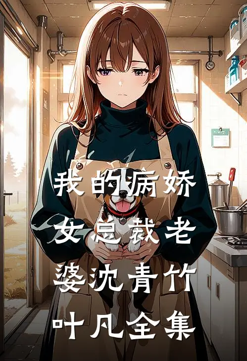 我的病娇女总裁老婆沈青竹叶凡全集