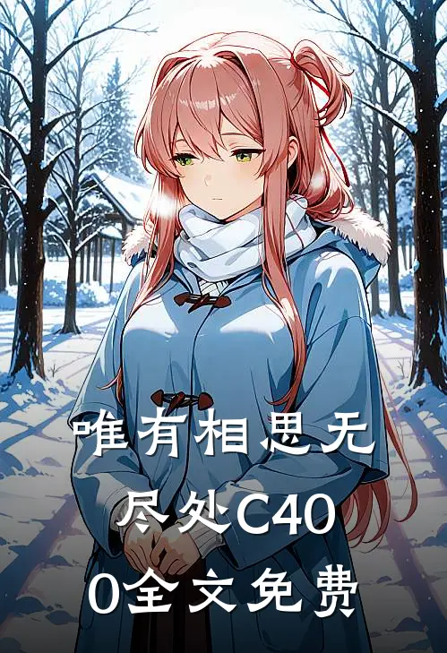 唯有相思无尽处C400全文免费