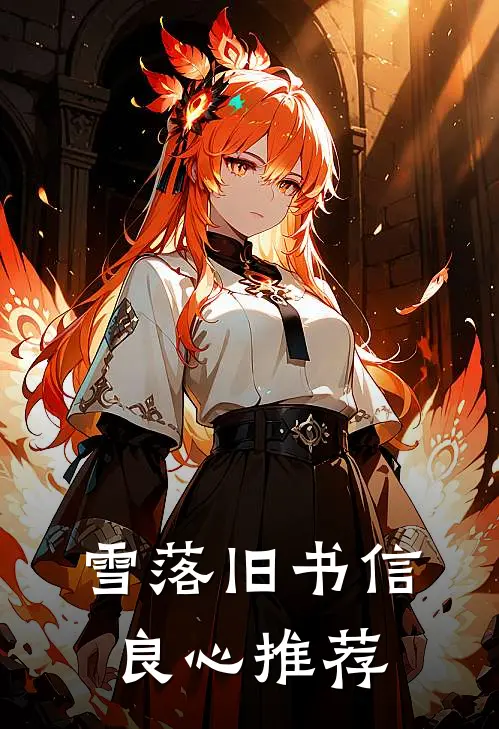 雪落旧书信良心推荐