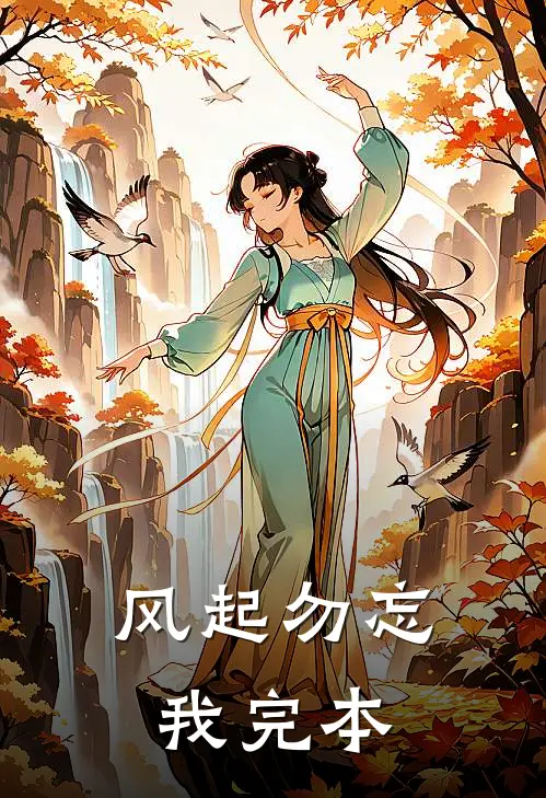 风起勿忘我完本