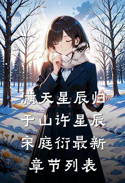 满天星辰归于山许星辰宋庭衍最新章节列表