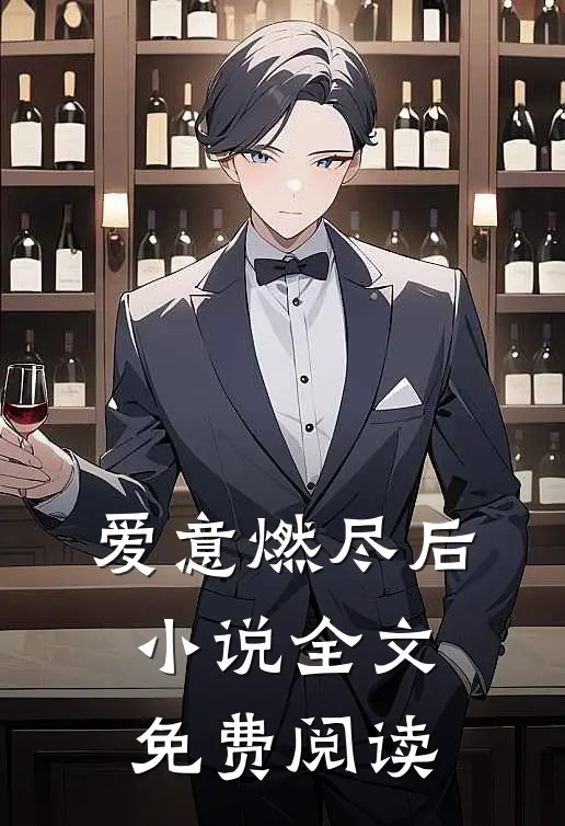 爱意燃尽后小说全文免费阅读