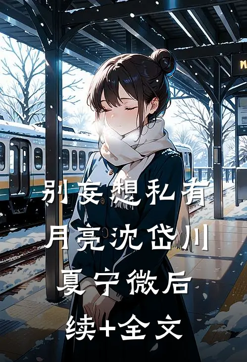 别妄想私有月亮沈岱川夏宁微后续+全文