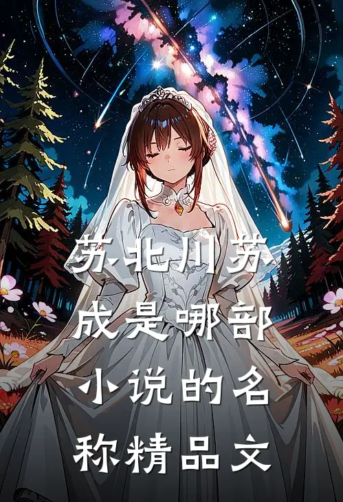 苏北川苏成是哪部小说的名称精品文