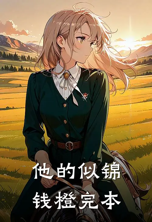 他的似锦钱橙完本