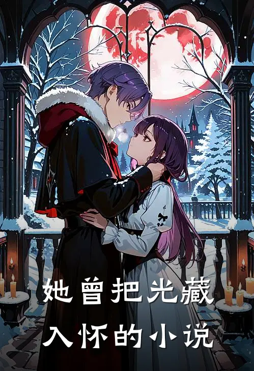 她曾把光藏入怀的小说
