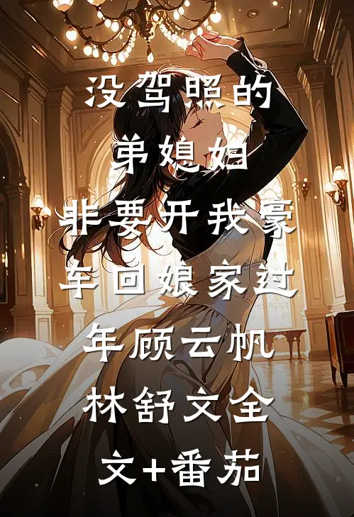 没驾照的弟媳妇，非要开我豪车回娘家过年顾云帆林舒文全文+番茄