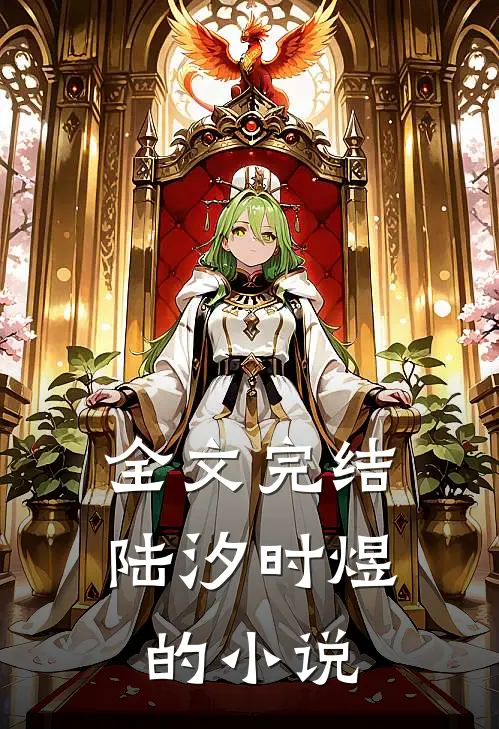 全文完结陆汐时煜的小说