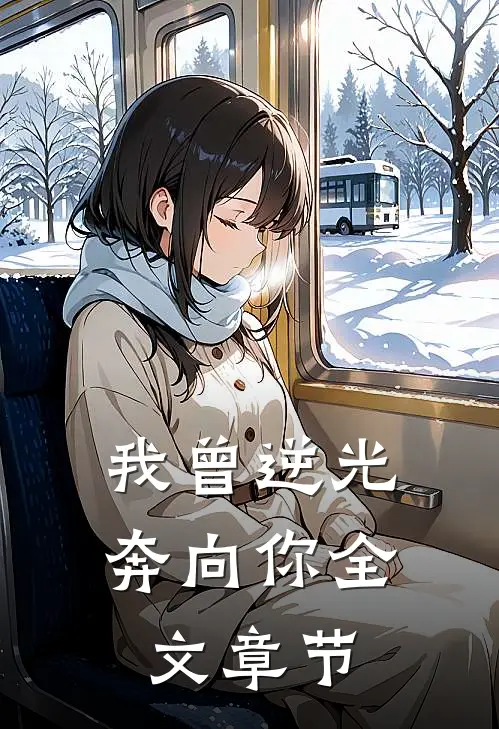 我曾逆光奔向你全文章节