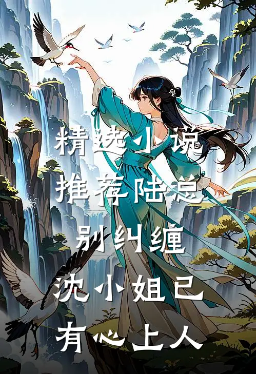 精选小说推荐陆总别纠缠，沈小姐已有心上人