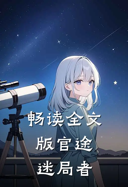 畅读全文版官途：迷局者