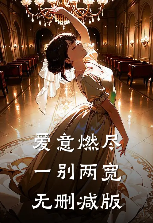 爱意燃尽，一别两宽无删减版