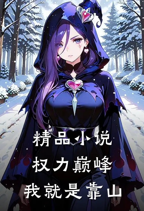 精品小说权力巅峰：我就是靠山