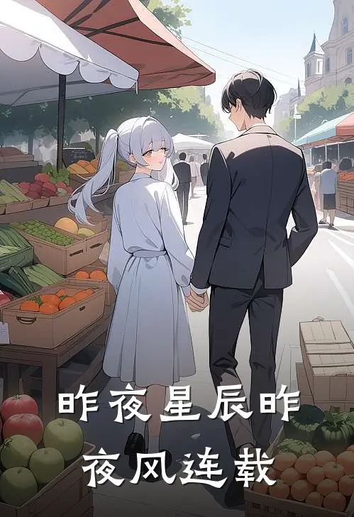 昨夜星辰昨夜风连载