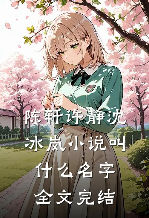 陈轩许静沈冰岚小说叫什么名字全文完结