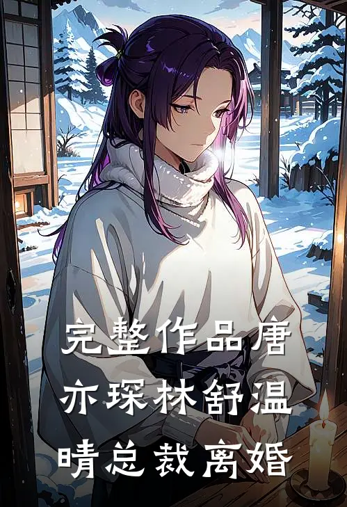 完整作品唐亦琛林舒温晴总裁离婚