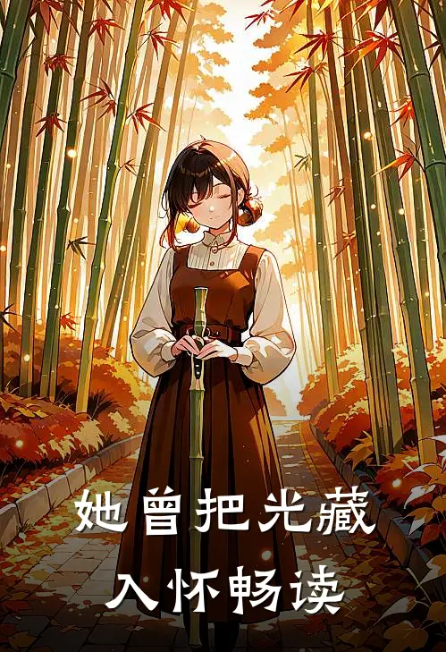 她曾把光藏入怀畅读