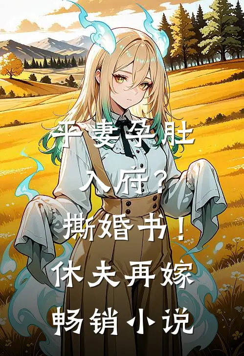 平妻孕肚入府？撕婚书！休夫再嫁畅销小说