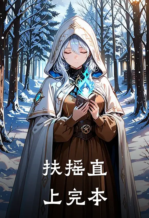 扶摇直上完本