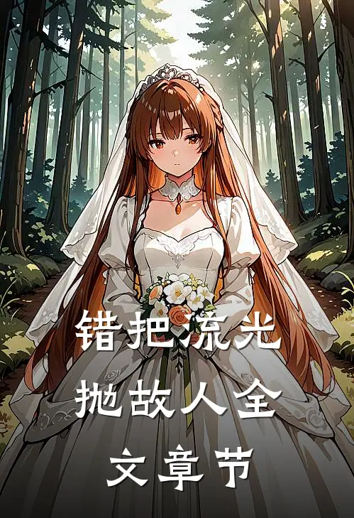 错把流光抛故人全文章节