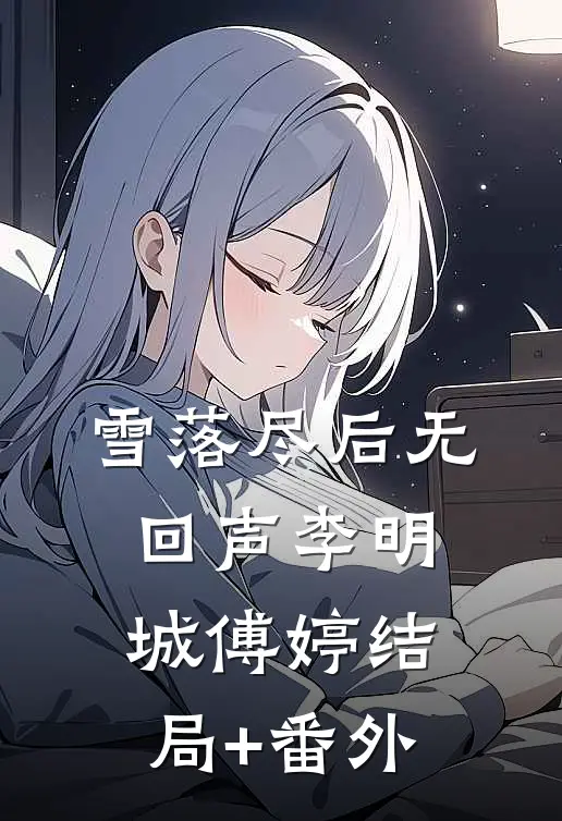 雪落尽后无回声李明城傅婷结局+番外