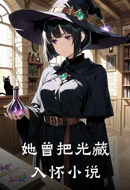 她曾把光藏入怀小说
