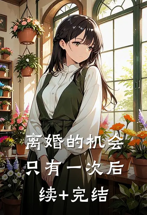 离婚的机会只有一次后续+完结