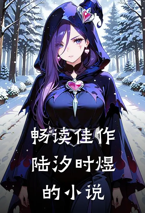 畅读佳作陆汐时煜的小说