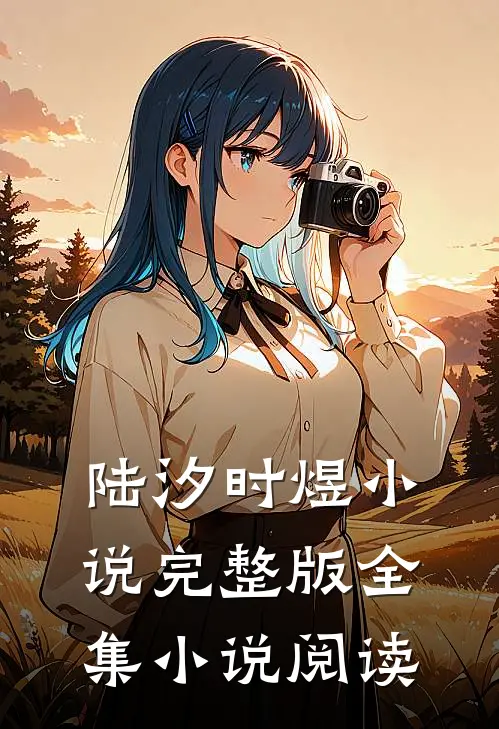 陆汐时煜小说完整版全集小说阅读