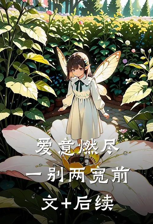 爱意燃尽，一别两宽前文+后续
