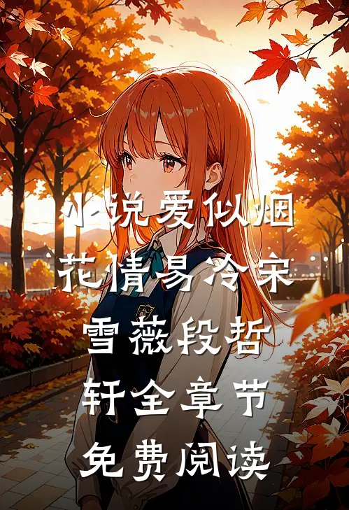 小说爱似烟花情易冷宋雪薇段哲轩全章节免费阅读