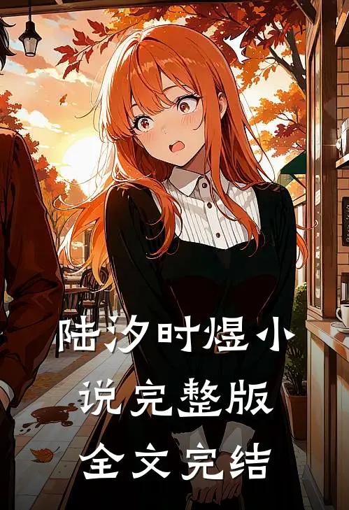 陆汐时煜小说完整版全文完结