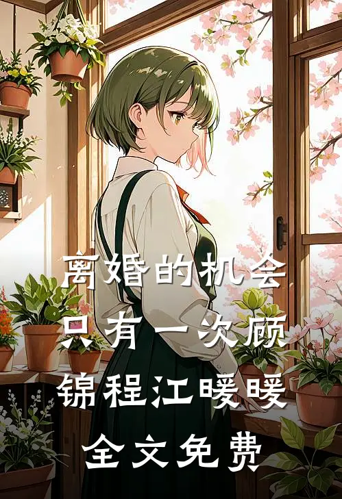 离婚的机会只有一次顾锦程江暖暖全文免费