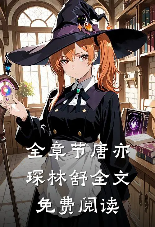 全章节唐亦琛林舒全文免费阅读