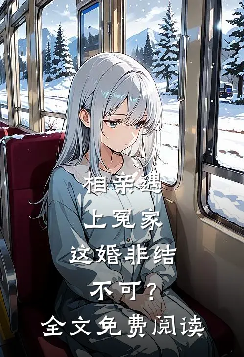 相亲遇上冤家，这婚非结不可？全文免费阅读
