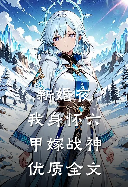 新婚夜，我身怀六甲嫁战神优质全文