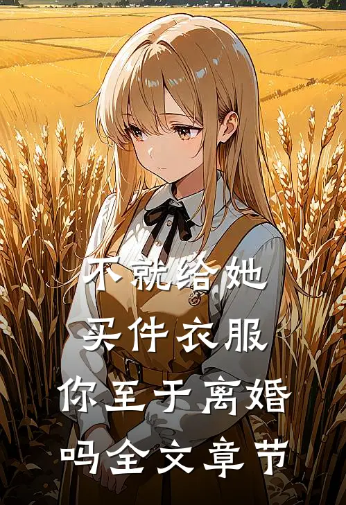 不就给她买件衣服，你至于离婚吗全文章节