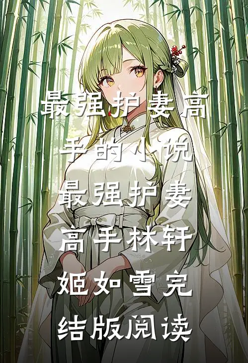 最强护妻高手的小说最强护妻高手林轩姬如雪完结版阅读