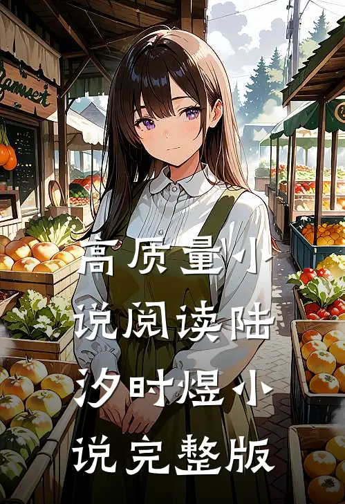 高质量小说阅读陆汐时煜小说完整版