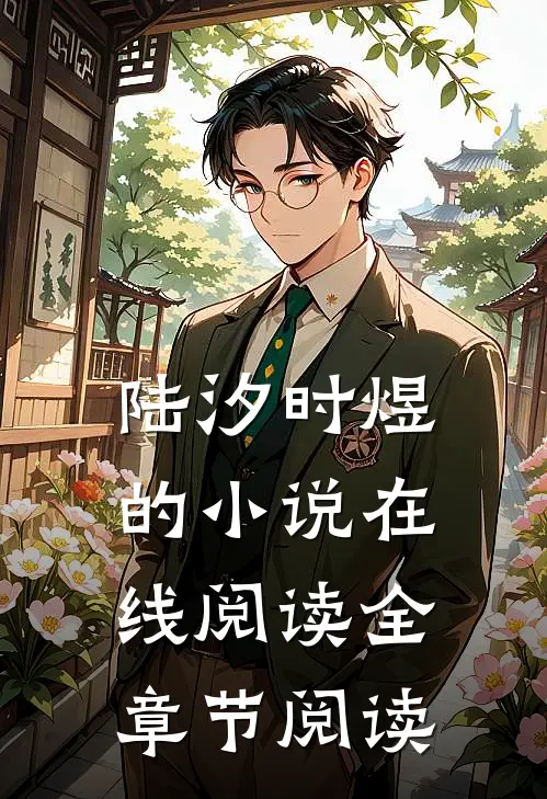 陆汐时煜的小说在线阅读全章节阅读